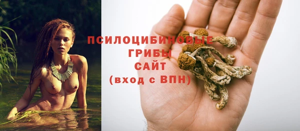 прущая мука Магас