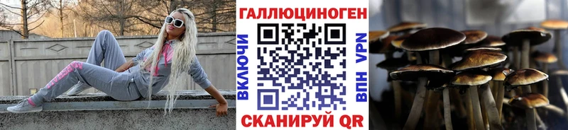 продажа наркотиков  Норильск  Псилоцибиновые грибы мицелий 